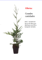 oferta 140 ley m10